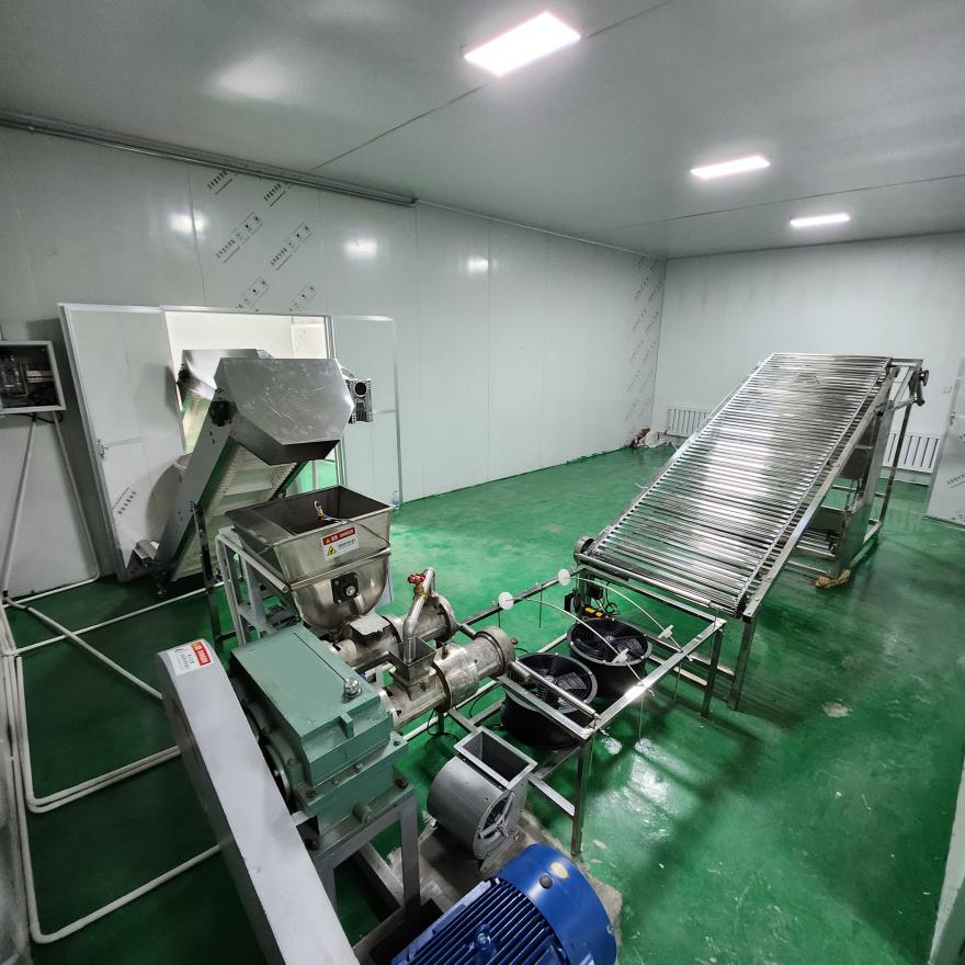 What benefits does the forming rice noodle machine bring to the enterprise?